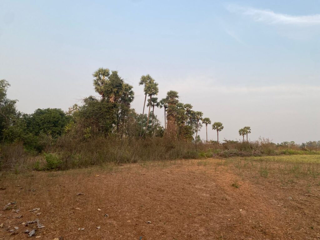 agriculture land for Sale in anandapuram,Visakhapatnam