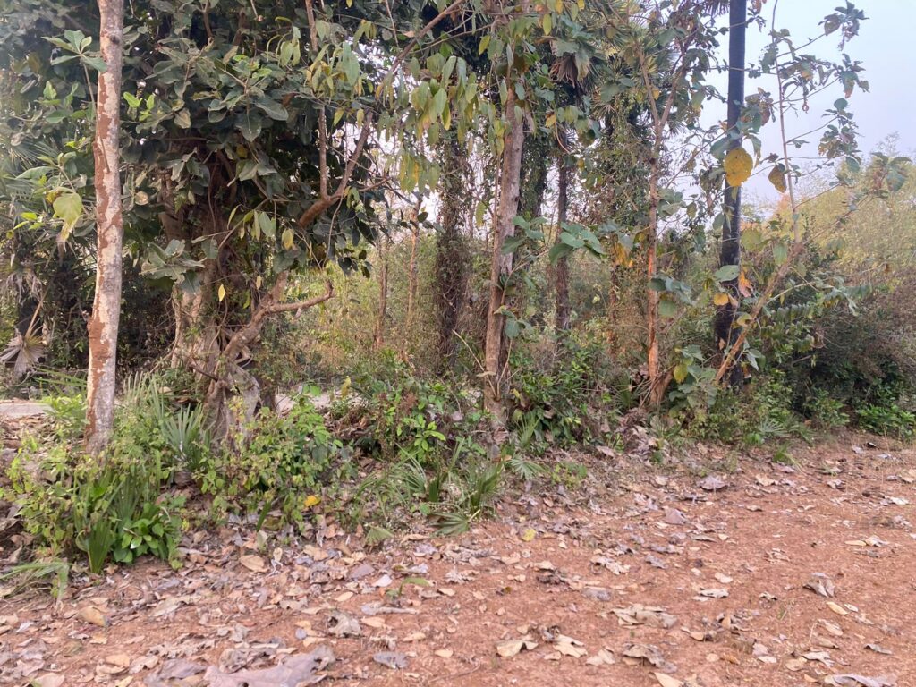 agriculture land for Sale in anandapuram,Visakhapatnam