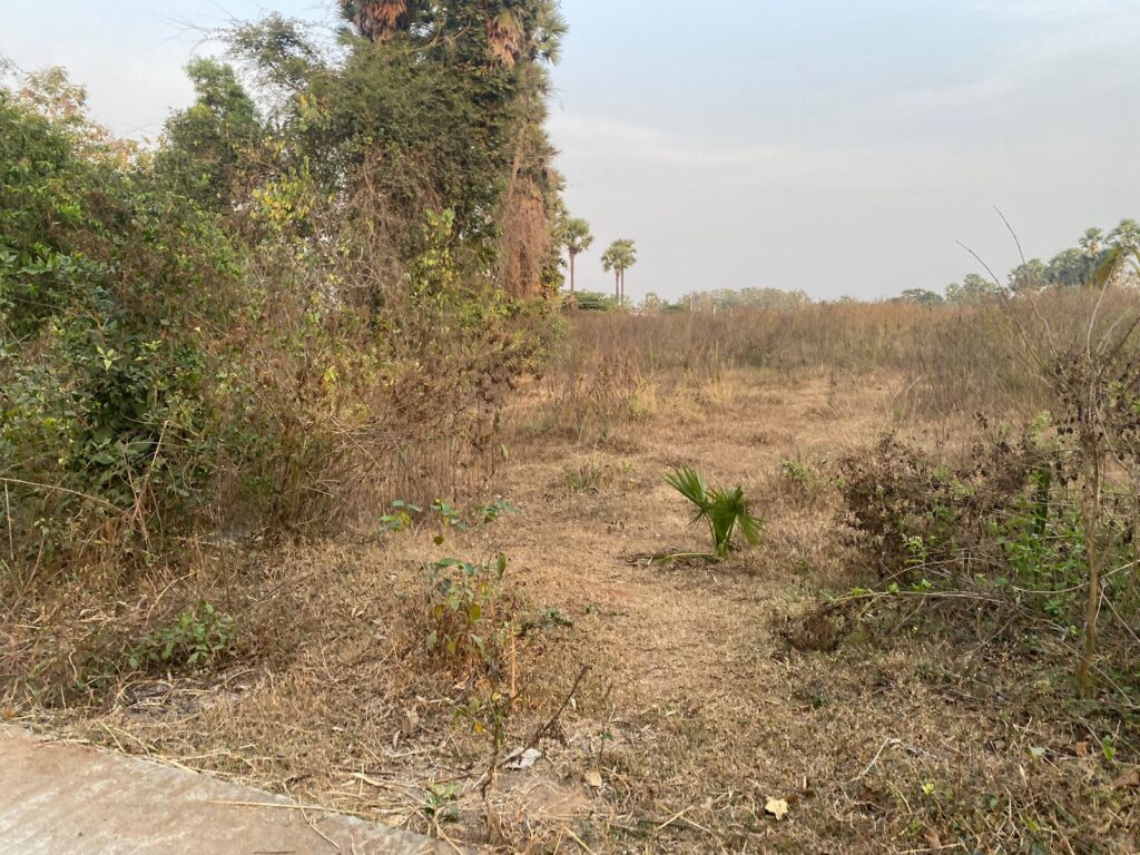 agriculture land for Sale in anandapuram,Visakhapatnam