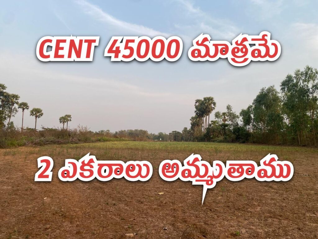 agriculture land for Sale in anandapuram,Visakhapatnam